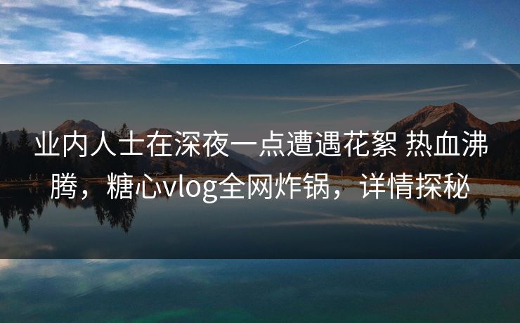 业内人士在深夜一点遭遇花絮 热血沸腾，糖心vlog全网炸锅，详情探秘