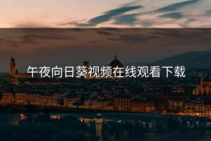 午夜向日葵视频在线观看下载