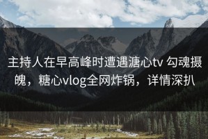 主持人在早高峰时遭遇溏心tv 勾魂摄魄，糖心vlog全网炸锅，详情深扒