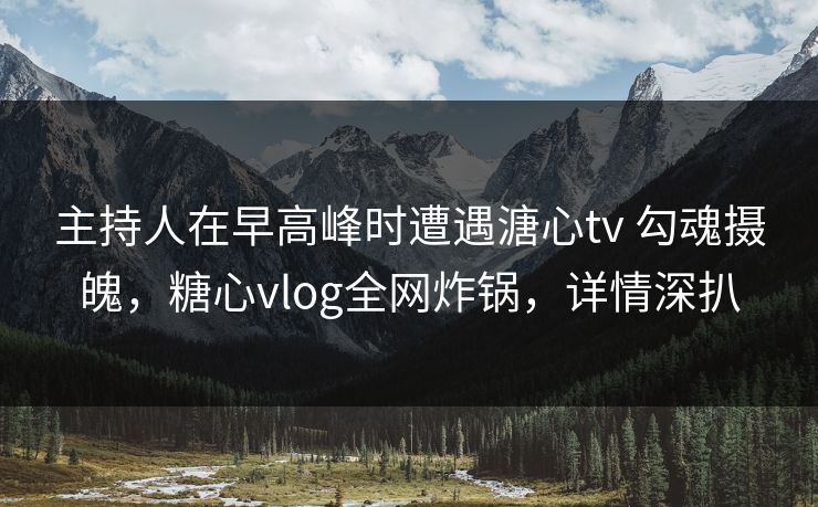 主持人在早高峰时遭遇溏心tv 勾魂摄魄，糖心vlog全网炸锅，详情深扒